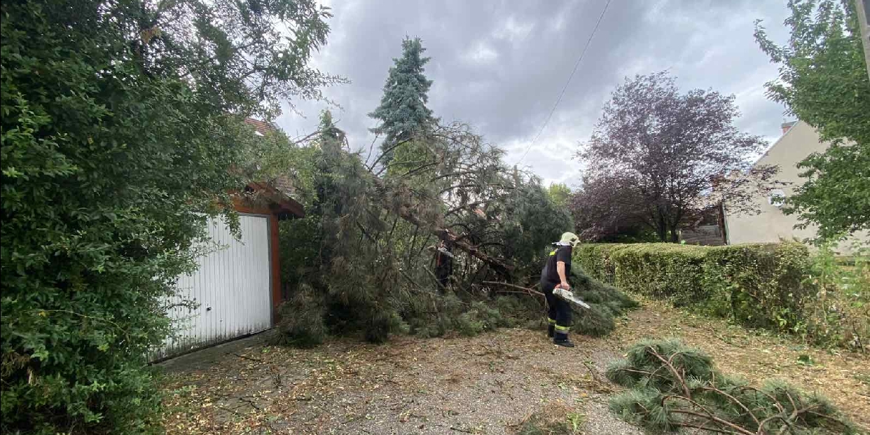 250 káresetet számoltak fel már a tűzoltók Pomázon a hétfői vihar után 